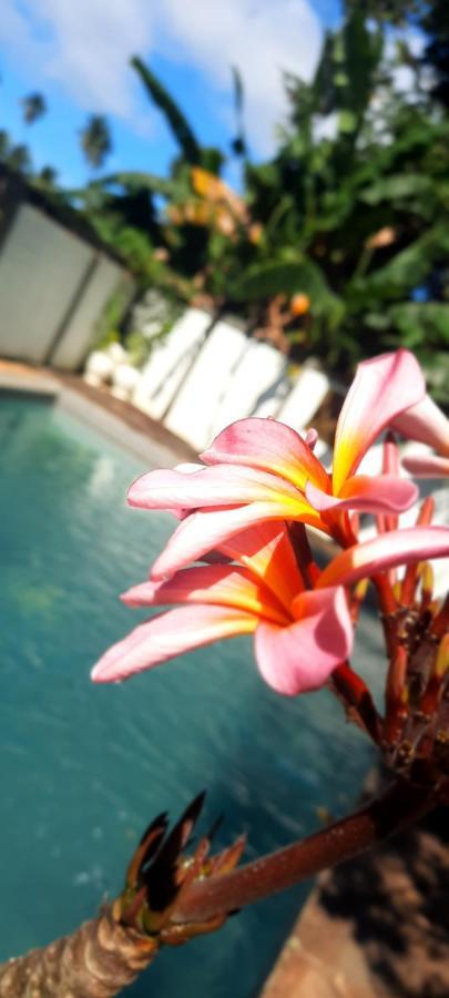 Guesthouse The 4 Fish Manado Luaran gambar
